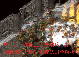 �������µ�ְҵ���湥�ԣ�������ο������֣����淨��ȫ����