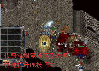 ����˽������������ο�������PK���ɣ�