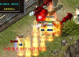 ���������ο���������