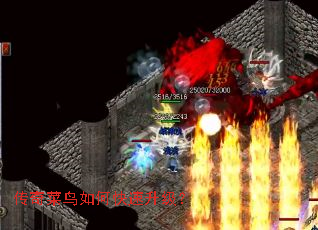 ���������ο���������