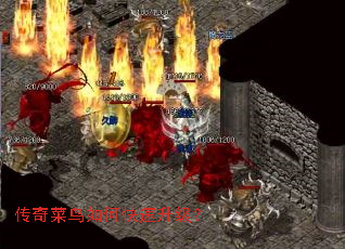 ���������ο���������