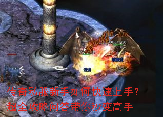 ����˽��������ο������֣���ȫ�����ʴ����������