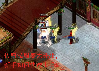 ����˽��ʢ�󿪷���������ο������֣�