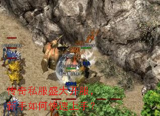 ����˽��ʢ�󿪷���������ο������֣�