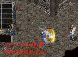 ����˽��SF������Ϊ�����⾫׼������