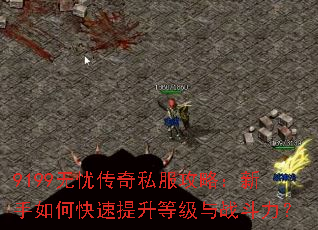 9199���Ǵ���˽�����ԣ�������ο��������ȼ���ս������