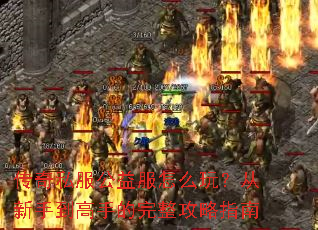 ����˽���������ô�棿�����ֵ����ֵ���������ָ��