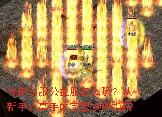 ����˽���������ô�棿�����ֵ����ֵ���������ָ��