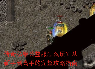 ����˽���������ô�棿�����ֵ����ֵ���������ָ��