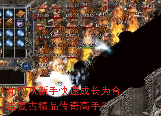 ��δ����ֿ��ٳɳ�Ϊ�ϻ����ž�Ʒ������֣�