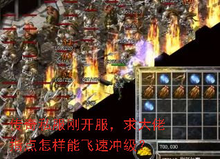 ����˽���տ����������ָ�������ܷ��ٳ弶��