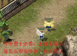 传奇勇士必看:土城黑屏花屏怎么彻底修复?告别困扰 传奇勇士必看:土城黑屏花屏怎么彻底修复?告别困扰