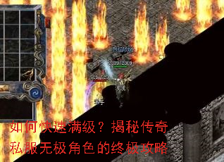 如何快速满级?揭秘传奇私服无极角色的终极攻略 如何快速满级?揭秘传奇私服无极角色的终极攻略