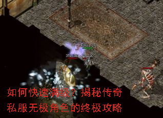 如何快速满级?揭秘传奇私服无极角色的终极攻略 如何快速满级?揭秘传奇私服无极角色的终极攻略