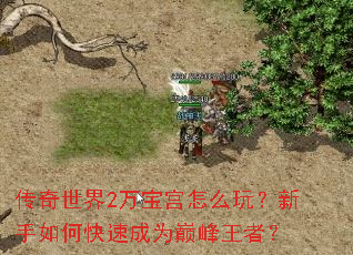 传奇世界2万宝宫怎么玩?新手如何快速成为巅峰王者? 传奇世界2万宝宫怎么玩?新手如何快速成为巅峰王者?