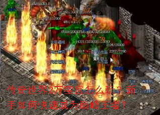 传奇世界2万宝宫怎么玩?新手如何快速成为巅峰王者? 传奇世界2万宝宫怎么玩?新手如何快速成为巅峰王者?