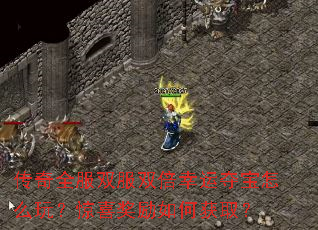 传奇全服双服双倍幸运夺宝怎么玩?惊喜奖励如何获取? 传奇全服双服双倍幸运夺宝怎么玩?惊喜奖励如何获取?