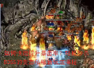 如何快速提升暴击率?轻松秒杀BOSS的变态私服新玩法揭秘 如何快速提升暴击率?轻松秒杀BOSS的变态私服新玩法揭秘