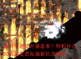 如何快速提升暴击率?轻松秒杀BOSS的变态私服新玩法揭秘 如何快速提升暴击率?轻松秒杀BOSS的变态私服新玩法揭秘
