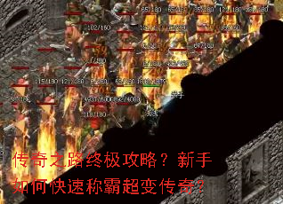 ����֮·�ռ����ԣ�������ο��ٳưԳ��䴫�棿