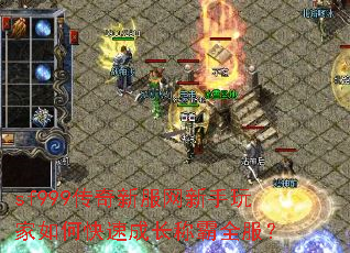 sf999�����·������������ο��ٳɳ��ư�ȫ����