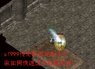 sf999�����·������������ο��ٳɳ��ư�ȫ����