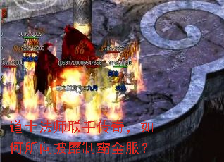 ��ʿ��ʦ���ִ��棬������������ư�ȫ����