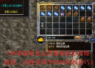 《神佑单职业五区最新进阶攻略:战力速成、技能抉择与BOSS实战技巧》 《神佑单职业五区最新进阶攻略:战力速成、技能抉择与BOSS实战技巧》