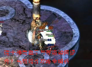 道士神兽血量与等级如何提升?高效培养攻略全解析 道士神兽血量与等级如何提升?高效培养攻略全解析
