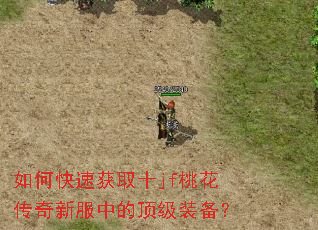 如何快速获取十jf桃花传奇新服中的顶级装备? 如何快速获取十jf桃花传奇新服中的顶级装备?