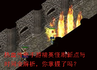热血传奇手游精英怪刷新点与时间全解析,你掌握了吗? 热血传奇手游精英怪刷新点与时间全解析,你掌握了吗?