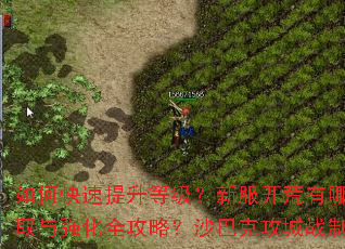 如何快速提升等级?新服开荒有哪些技巧?装备获取与强化全攻略?沙巴克攻城战制胜策略解析? 如何快速提升等级?新服开荒有哪些技巧?装备获取与强化全攻略?沙巴克攻城战制胜策略解析?