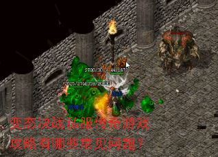 ��̬��ս˽��������Ϸ��������Щ�������⣿