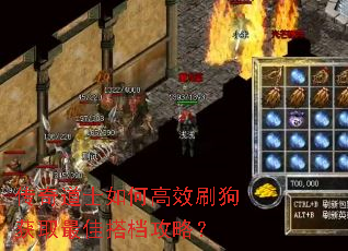 传奇道士如何高效刷狗获取最佳搭档攻略? 传奇道士如何高效刷狗获取最佳搭档攻略?
