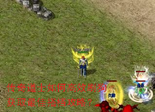 传奇道士如何高效刷狗获取最佳搭档攻略? 传奇道士如何高效刷狗获取最佳搭档攻略?