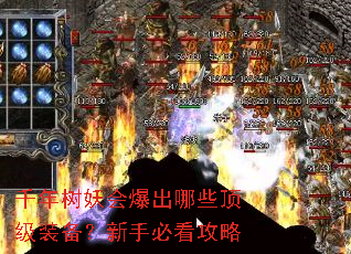 千年树妖会爆出哪些顶级装备?新手必看攻略 千年树妖会爆出哪些顶级装备?新手必看攻略