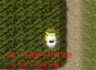 传奇内测服新手如何快速升级与获取顶级装备? 传奇内测服新手如何快速升级与获取顶级装备?