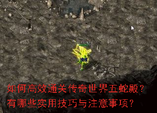 如何高效通关传奇世界五蛇殿?有哪些实用技巧与注意事项? 如何高效通关传奇世界五蛇殿?有哪些实用技巧与注意事项?