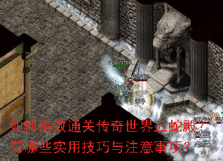 如何高效通关传奇世界五蛇殿?有哪些实用技巧与注意事项? 如何高效通关传奇世界五蛇殿?有哪些实用技巧与注意事项?