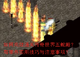 如何高效通关传奇世界五蛇殿?有哪些实用技巧与注意事项? 如何高效通关传奇世界五蛇殿?有哪些实用技巧与注意事项?