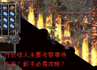 行会收人主要考察哪些方面?新手必看攻略? 行会收人主要考察哪些方面?新手必看攻略?