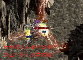 行会收人主要考察哪些方面?新手必看攻略? 行会收人主要考察哪些方面?新手必看攻略?