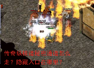 �����ݺ������ͨ����ô�ߣ�������������