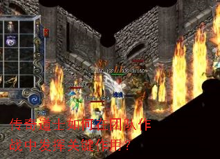 传奇道士如何在团队作战中发挥关键作用? 传奇道士如何在团队作战中发挥关键作用?
