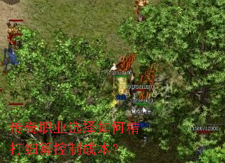 传奇职业选择如何精打细算控制成本? 传奇职业选择如何精打细算控制成本?