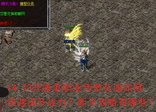 14.30开服单职业传奇私服如何快速提升战力?新手攻略有哪些? 14.30开服单职业传奇私服如何快速提升战力?新手攻略有哪些?