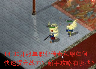 14.30开服单职业传奇私服如何快速提升战力?新手攻略有哪些? 14.30开服单职业传奇私服如何快速提升战力?新手攻略有哪些?