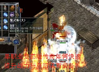 ��ְҵ��̬�洫����ο�������ս�����ȡϡ��װ����