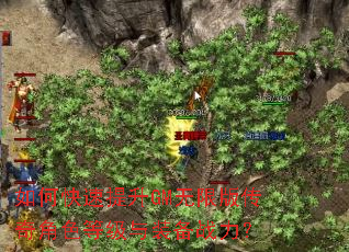 如何快速提升GM无限版传奇角色等级与装备战力? 如何快速提升GM无限版传奇角色等级与装备战力?