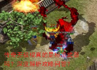 传奇无极棍真的是标准武器吗?深度解析攻略问答? 传奇无极棍真的是标准武器吗?深度解析攻略问答?